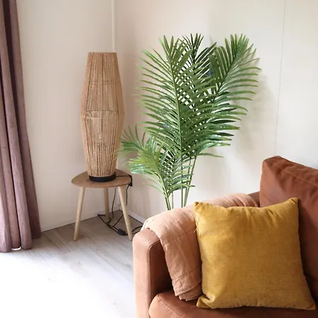 Tatil Evi Gezellig Gemoderniseerd Op De Veluwe