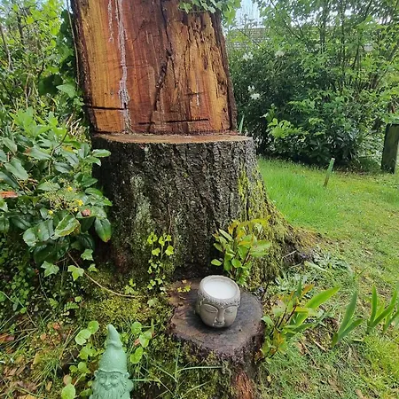 Tatil Evi Gezellig Gemoderniseerd Op De Veluwe *