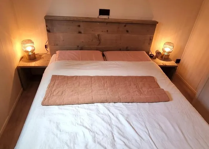 Gezellig Gemoderniseerd Op De Veluwe