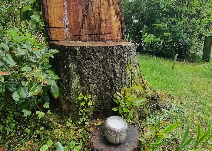 Semesterbostad Gezellig Gemoderniseerd Op De Veluwe *